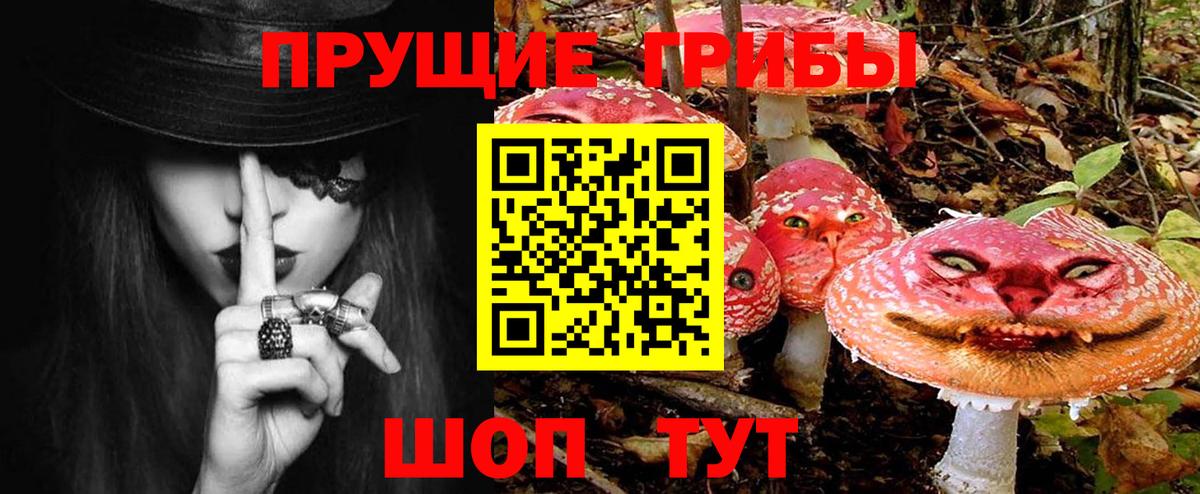 Краснознаменск  Псилоцибиновые грибы мицелий  Вход с VPN 