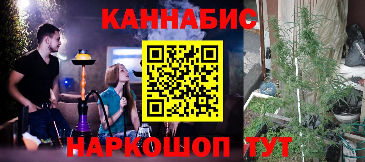 Конопля SATIVA & INDICA Краснознаменск